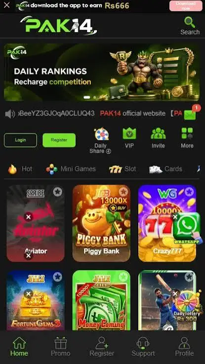 Pak14 Game