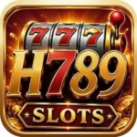 H789 Game